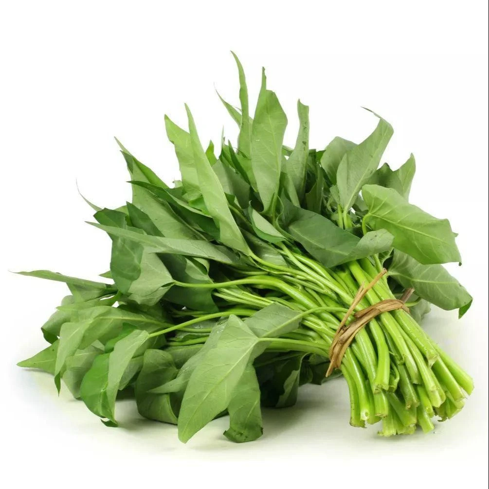 空心菜 约400g/份