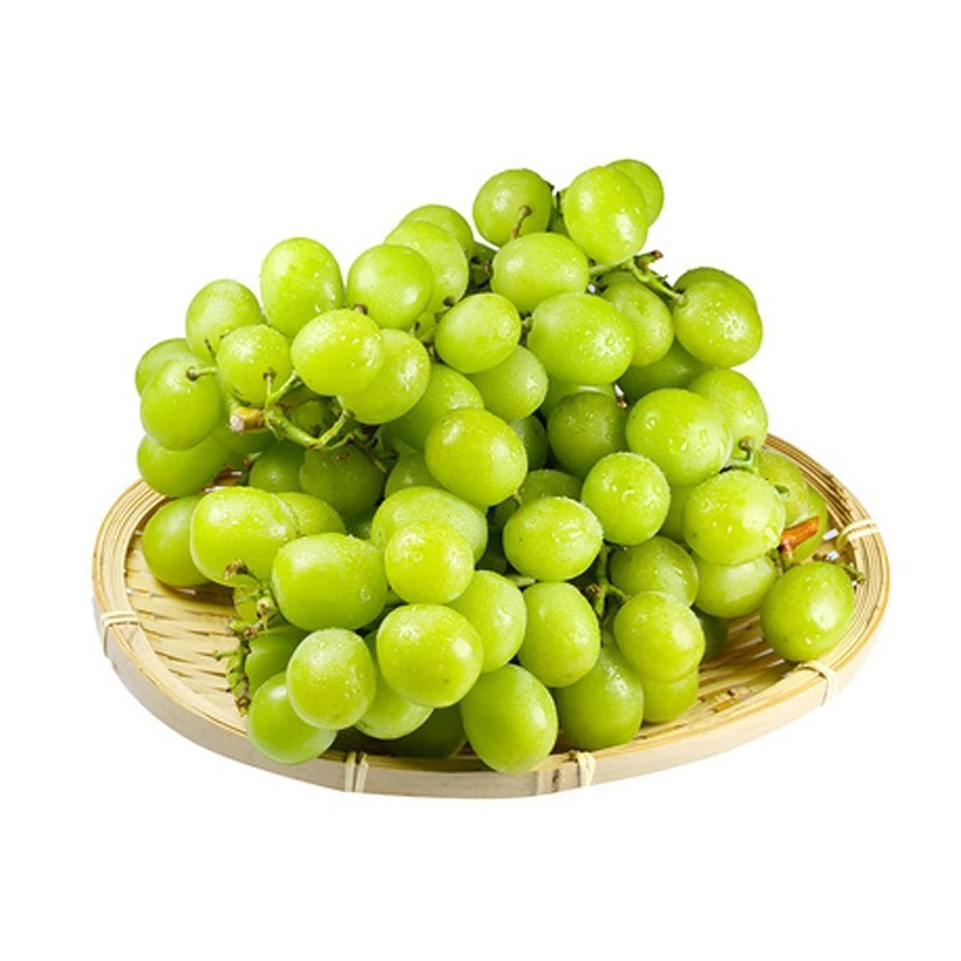 阳光玫瑰一份  约1.8斤