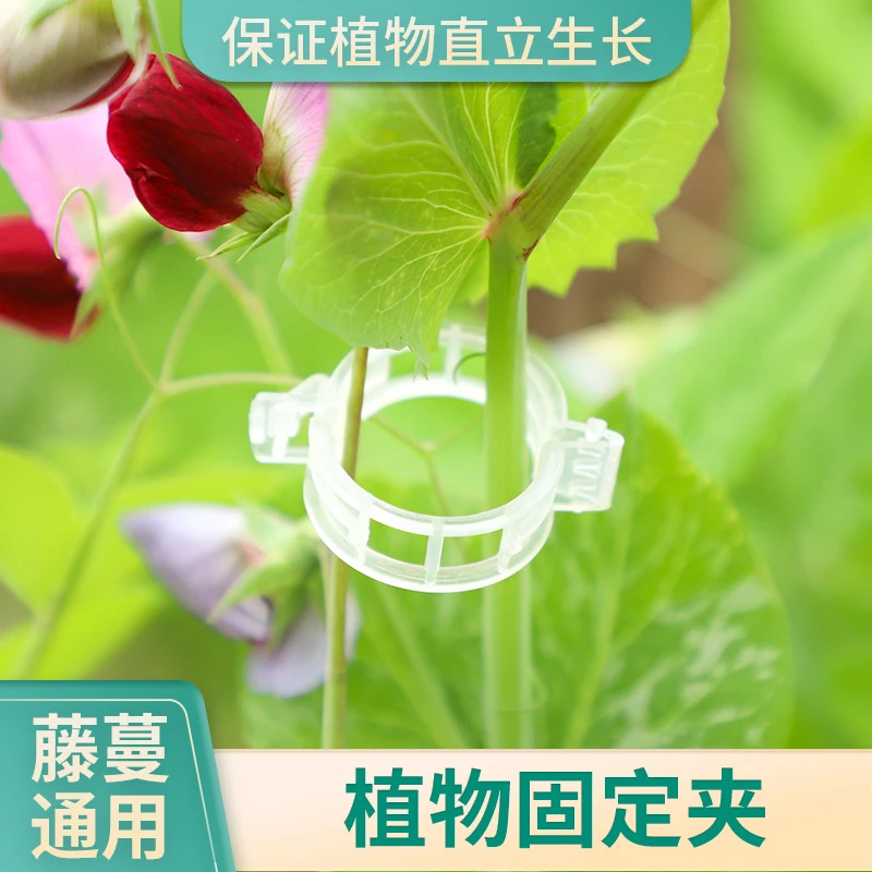 蔬菜水果藤蔓固定夹爬藤卡扣黄瓜茄子辣椒扶蔓吊曼落秧植物绑蔓夹