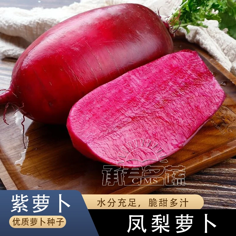 凤梨萝卜种子沙窝甜脆水果型种籽秋冬季蔬菜种子红萝卜菜籽种农家