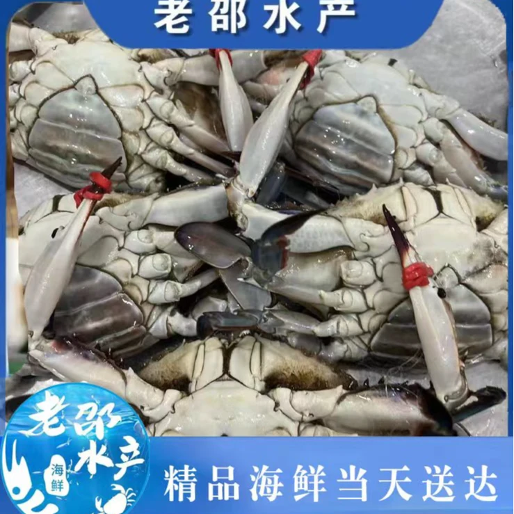 【保鲜不保活】足黄大母蟹 （每斤2-3只单只4-6两）当日送达