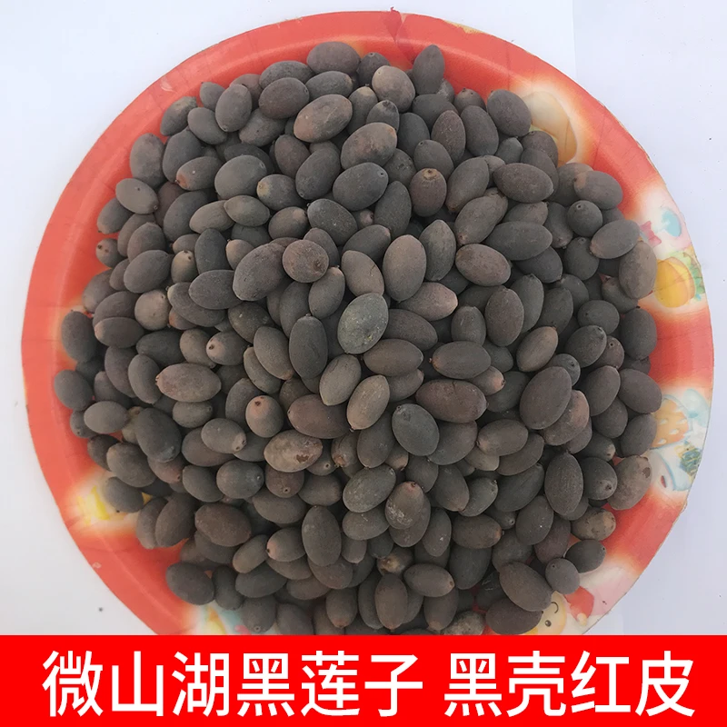 微山湖黑莲子带壳老莲子铁莲子干货可发芽手串