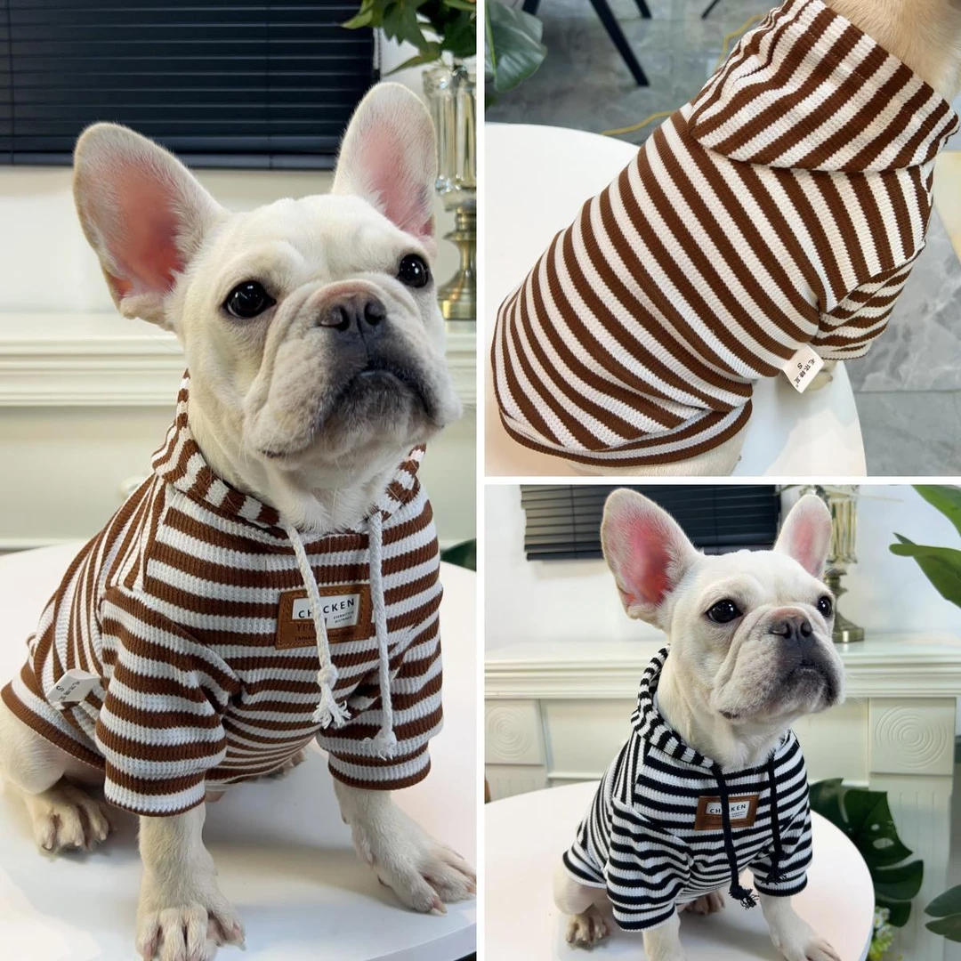 秋冬新款美拉德复古风咖啡色法斗八哥胖狗狗专用两脚有袖衣服帽衫
