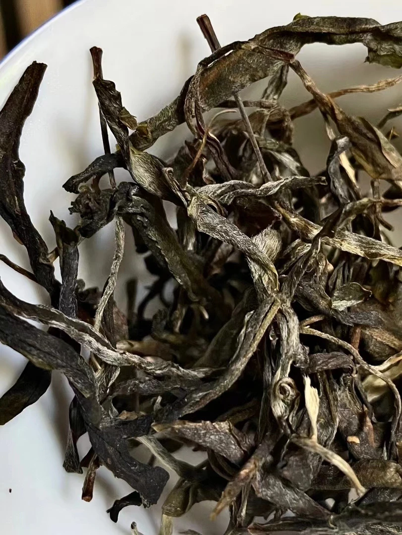 2024年头春老班章 78号家 挑采古树50克分享装