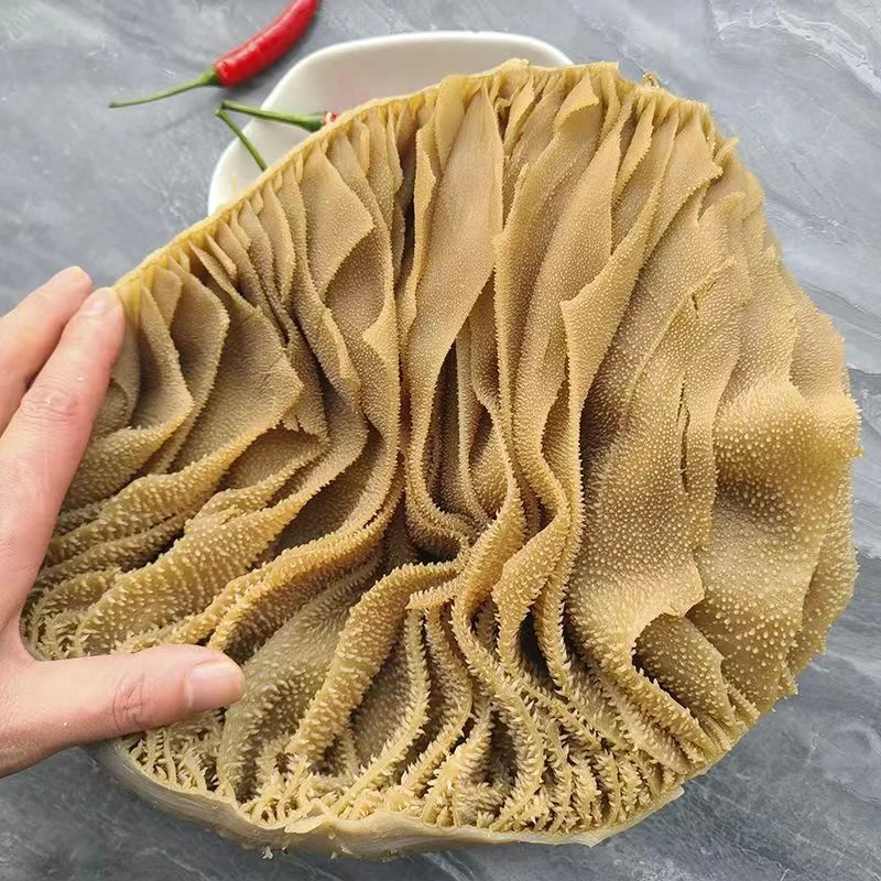 川渝 3斤装整个黑毛肚源头厂家牛杂牛百叶新鲜商用火锅串串食材