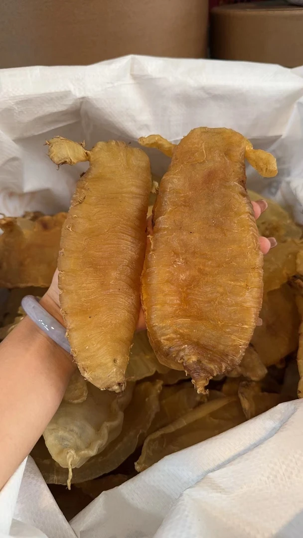 大耳母肚厚肉半老鱼胶7头规格