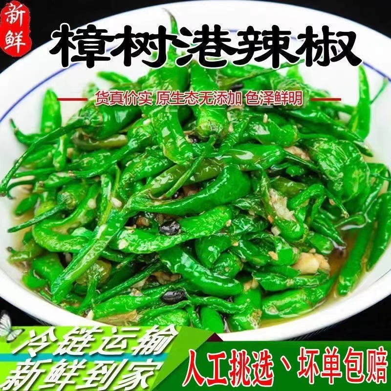 【当天采摘】正宗樟树港辣椒新鲜青椒新鲜特辣现摘现发辣椒新鲜青椒
