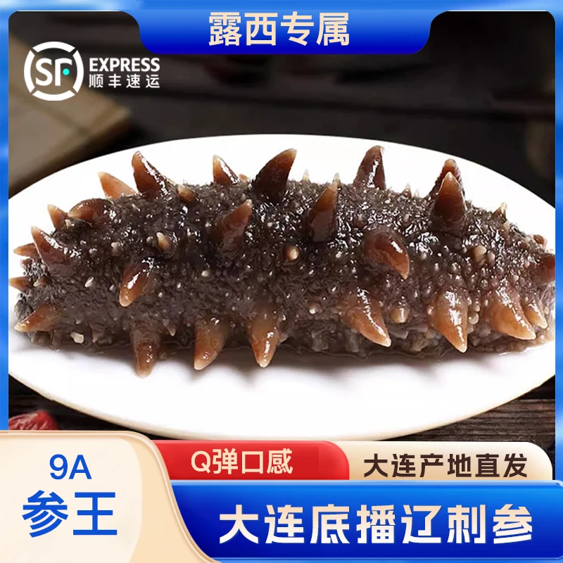 【露西专属 】9A参王 Q弹口感 即食海参 辽参500g深海底播大连发货
