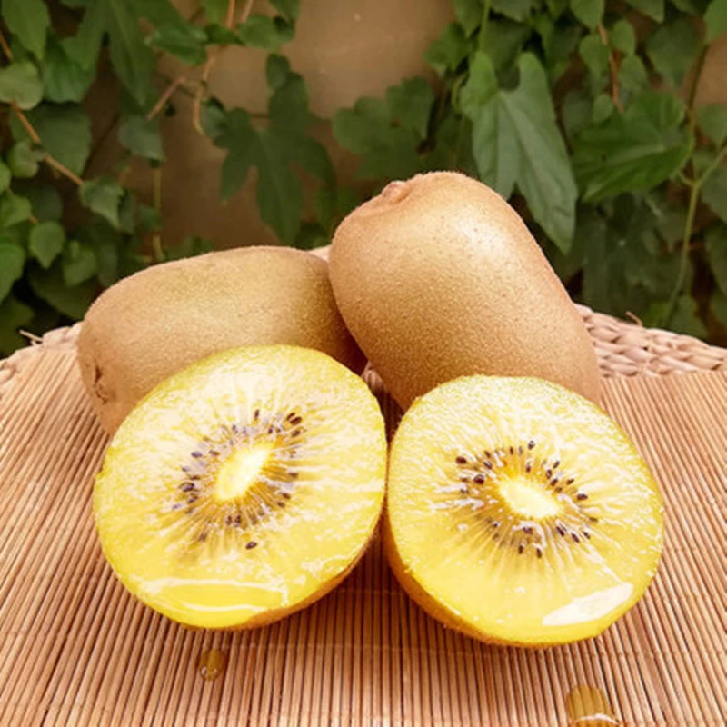 G3黄心猕猴桃现摘现发软糯可口营养丰富味道香甜多汁新鲜采摘