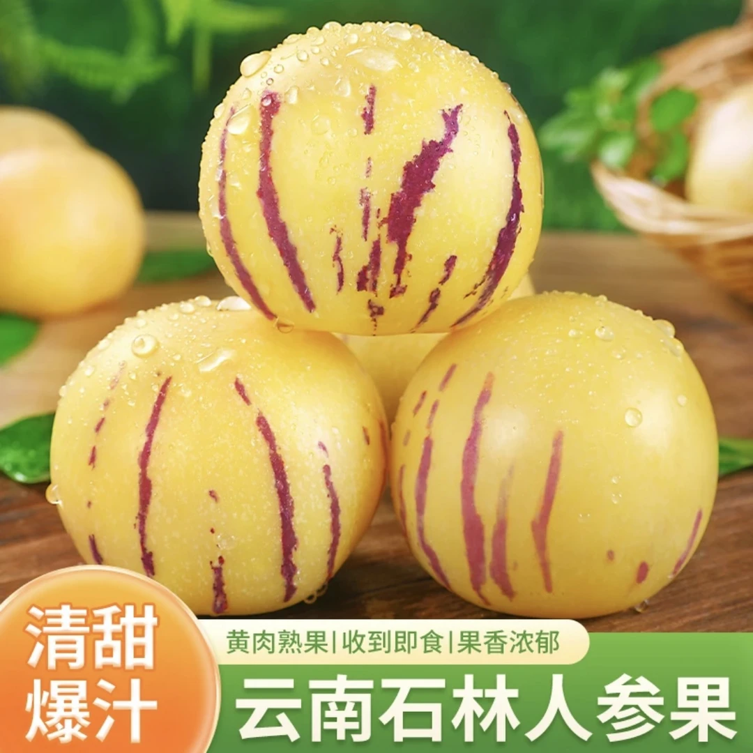 云南树熟人参果5斤单果50-80g大概31-50个装【白果包赔】