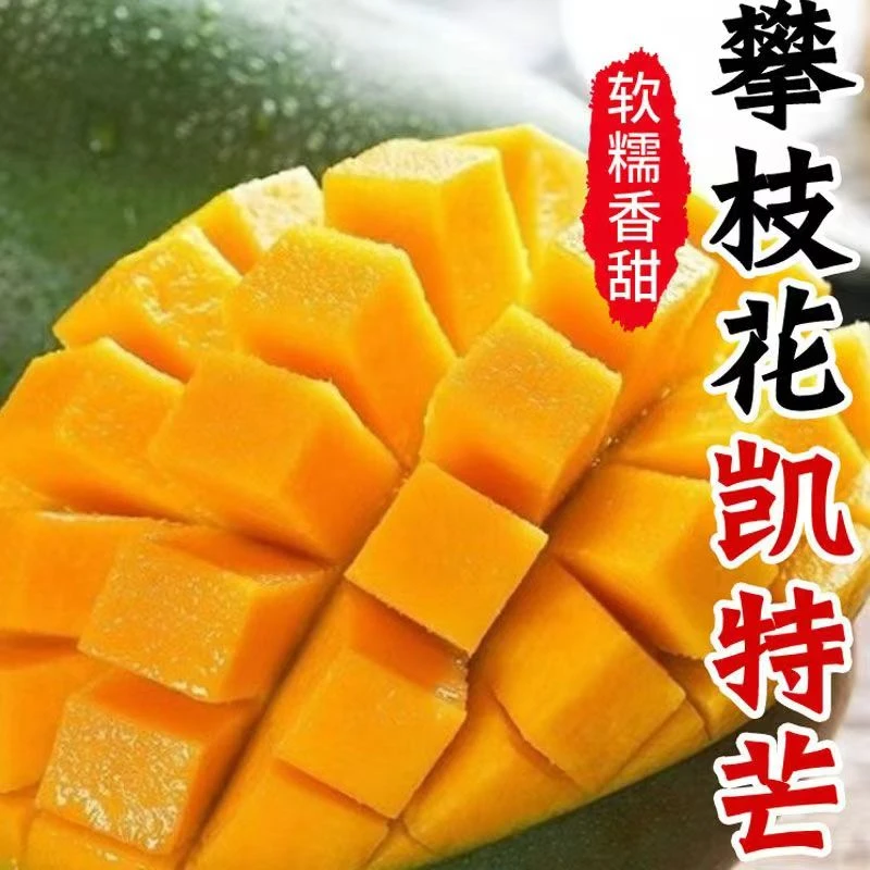 L【催熟食用】四川攀枝花凯特芒果单果500g起带箱8-9斤到手3-8个