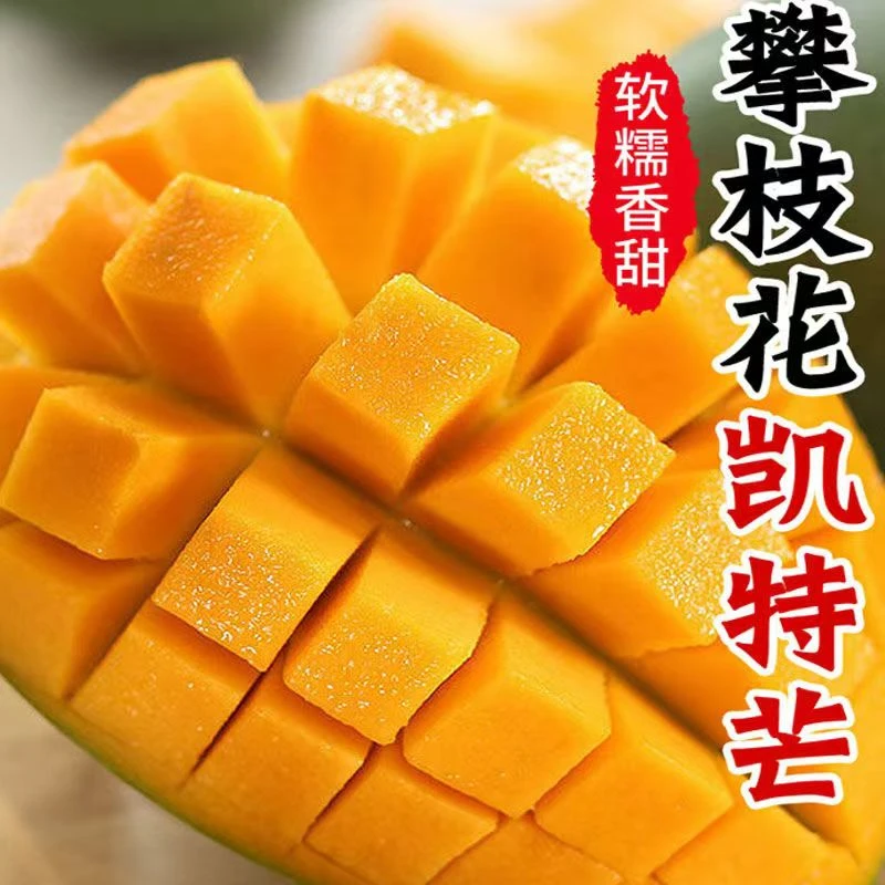【放软食用】攀枝花凯特芒果单果400g+带箱5斤到手3-7个坏果包赔