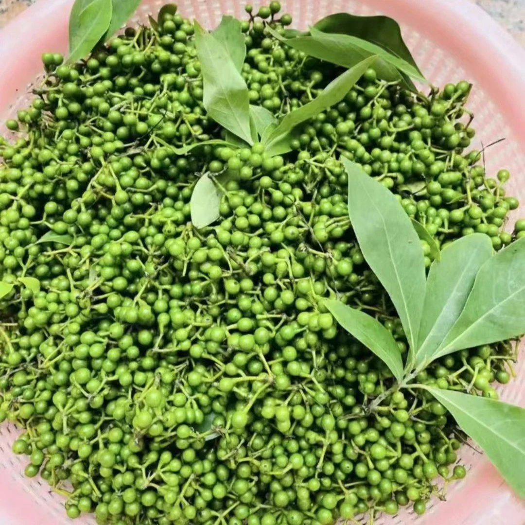 正宗云南新鲜木姜子山胡椒