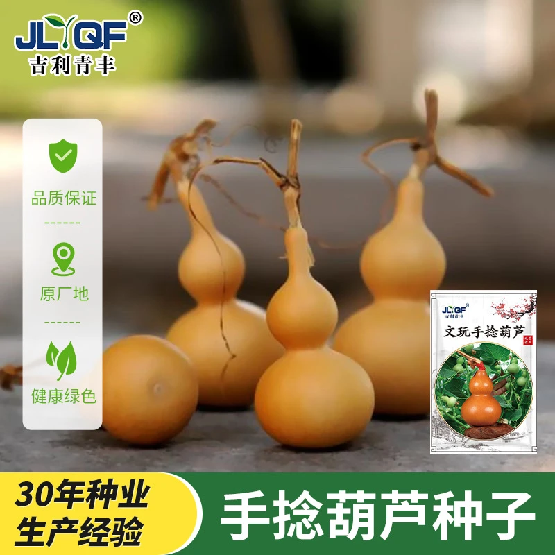四季阳台盆栽手捻小葫芦籽种观赏迷你微型玩具