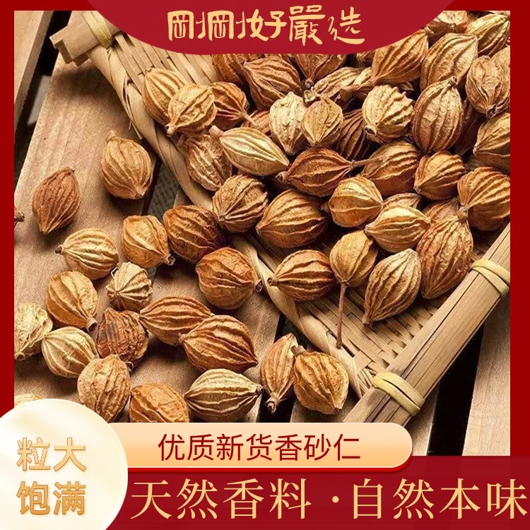 香砂仁正品香料烹饪料理