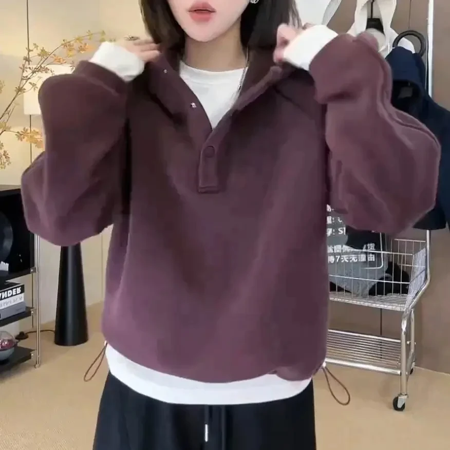 2025秋冬新款高级感连帽抽绳加绒保暖套头上衣百搭卫衣