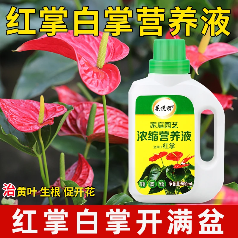 红白掌适用营养液室内花卉绿植通用型叶面肥治黄叶促开花专用肥料