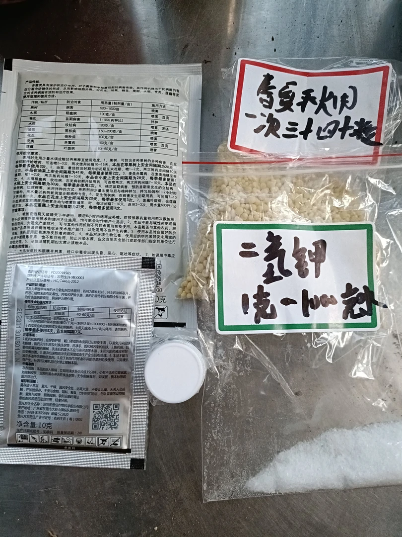 蟹爪兰一年养护套餐，养护和防病抵挡百分之九十。十年养护可以放心