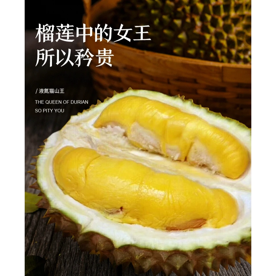 【一物一拍】马来西亚AA级D197·液氮猫山王