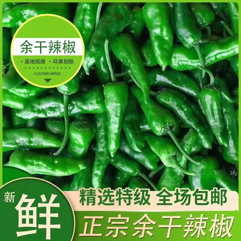 特辣正宗新鲜余干辣椒现摘辣椒1/3/5斤薄皮青椒超辣余干枫树辣椒