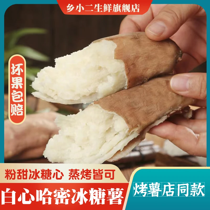 【坏果包赔】山东哈密白薯冰糖薯净重5斤晶莹剔透软糯蜜甜好吃