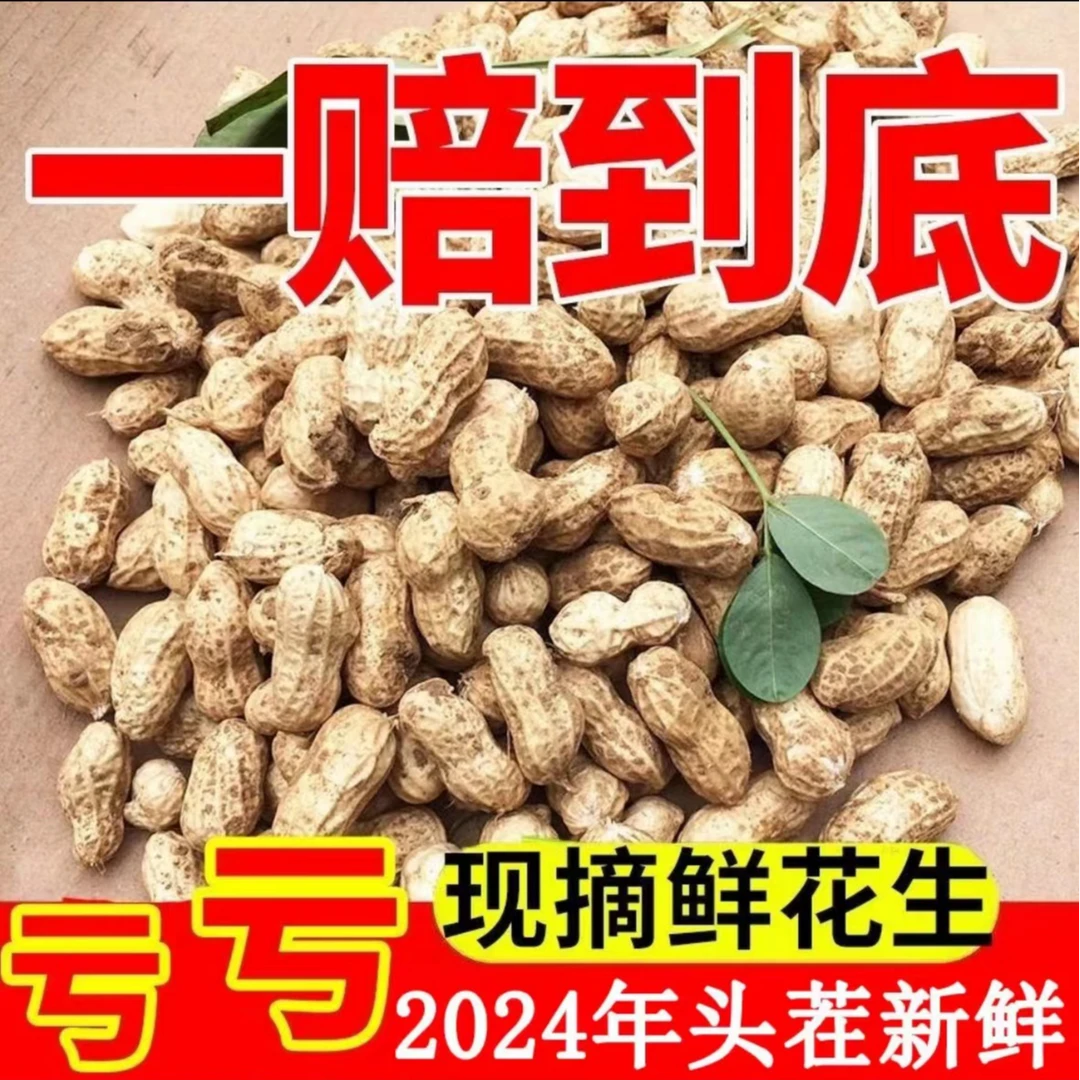 【带包装约5斤】2024新鲜湿花生现挖现发花生粉皮带壳农家自种花生