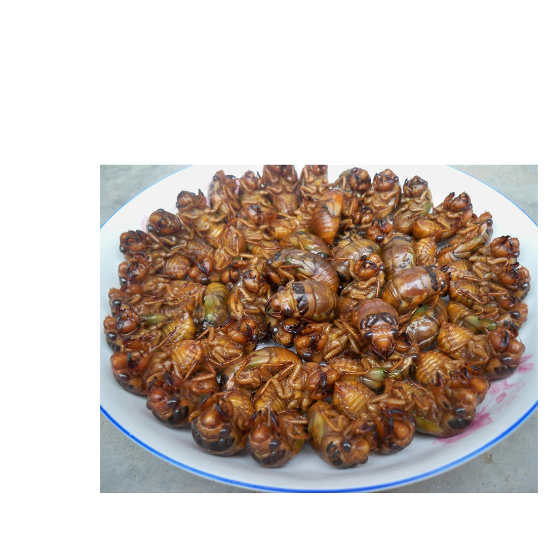 活体速冻自产自销100只2瓶装