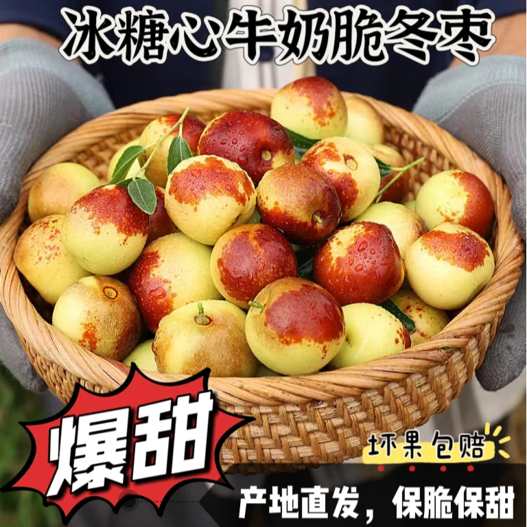 【果园直发】顺丰快递现采现发新鲜冰糖牛奶冬枣皮薄肉厚大果原生态