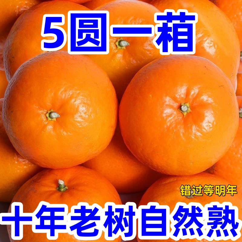爆甜多汁沃柑正宗新鲜广西武鸣桔子贵妃柑橘新鲜水果橘子皮薄成熟