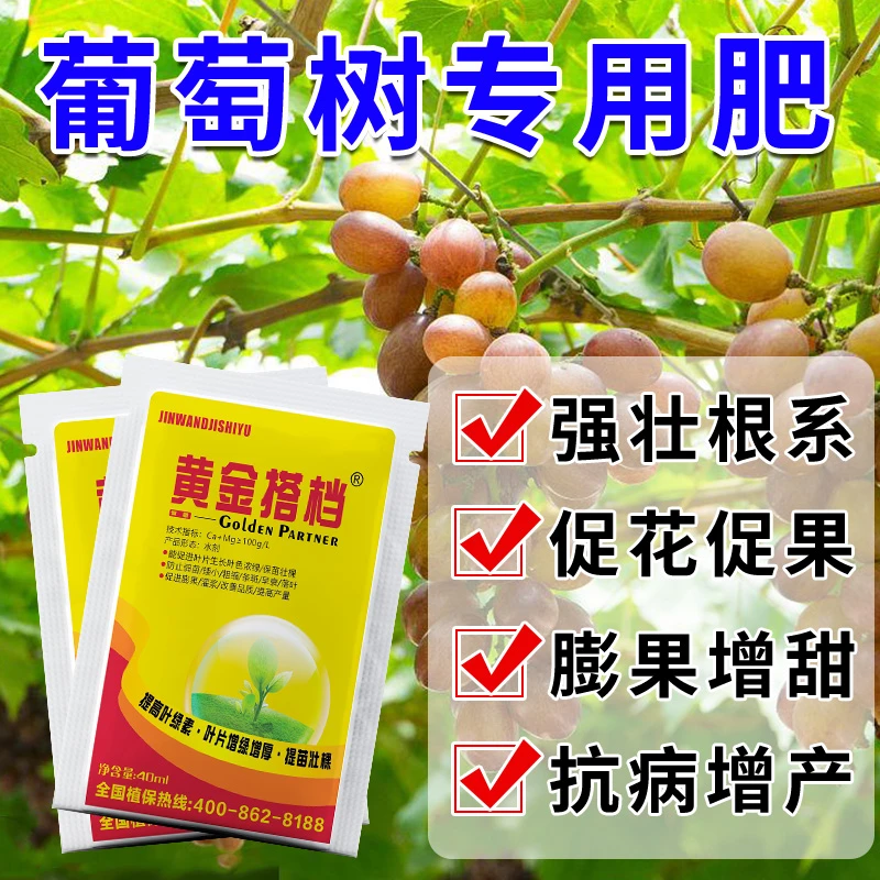 葡萄树专用肥料中量元素果树苗盆栽肥料营养液葡萄膨大增产水溶肥