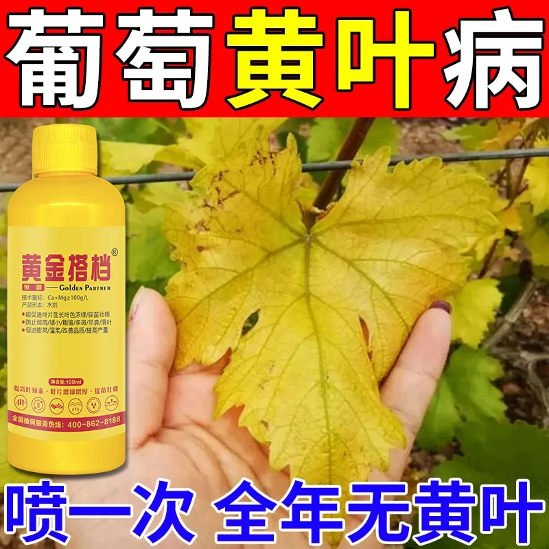 葡萄黄叶专用肥葡萄黄化落叶卷叶枯萎营养肥防落花落果葡萄叶面肥