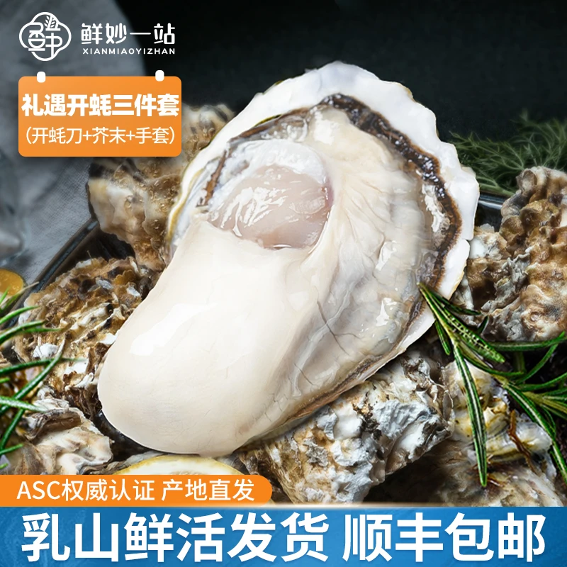 【鲜妙一站】鲜活乳山生蚝 3-5两/个 5斤装 鲜活发货 顺丰包邮