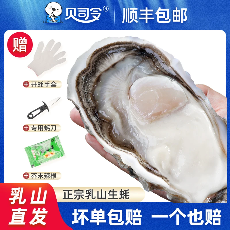 【贝司令】乳山生蚝净重5斤 顺丰包邮 包鲜包活