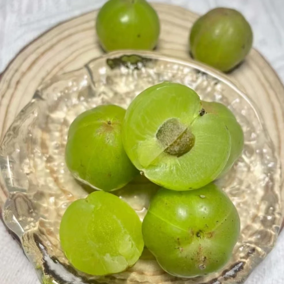 云南滇橄榄初尝酸涩余味回甘可做菜可做果脯可泡酒