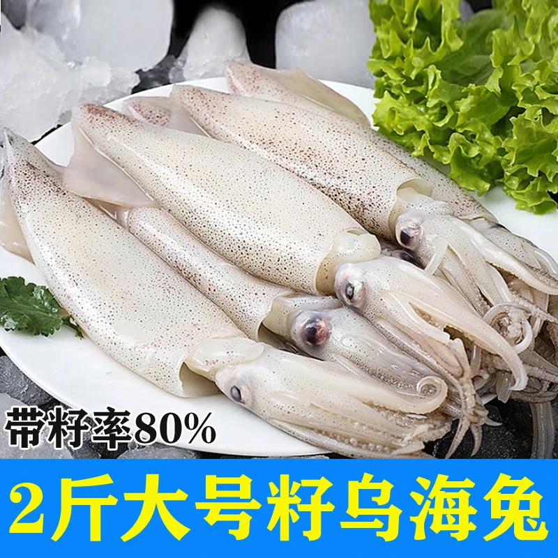 海兔籽乌大号冷冻生鲜50%带籽大笔管鱼火锅烧烤海鲜海头海州湾