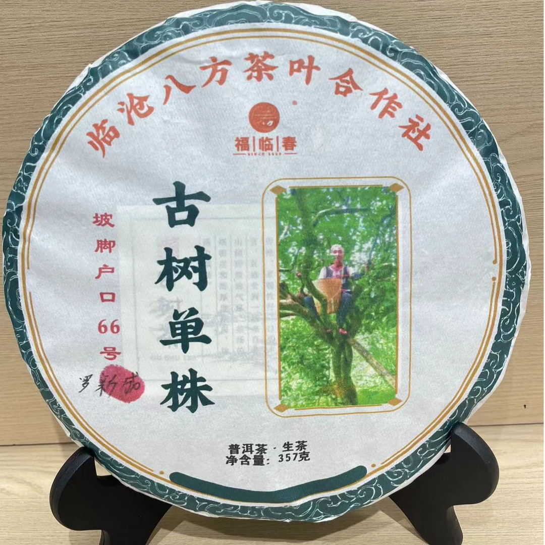 坡脚66号古树单株  普洱茶(生茶）紧压茶  357克