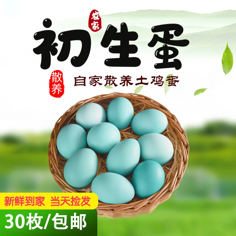 鹊岭【起包邮】鸡妈妈头窝天然绿壳鲜蛋农家散养土鸡蛋现捡现发鸡蛋