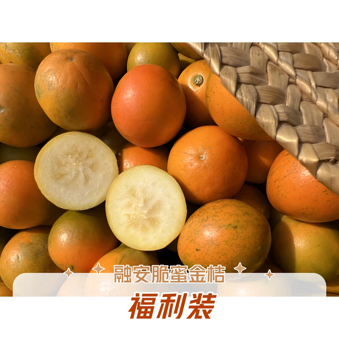 正宗广西融安【脆蜜】金桔纯甜新鲜带皮吃水果原产地现摘现发