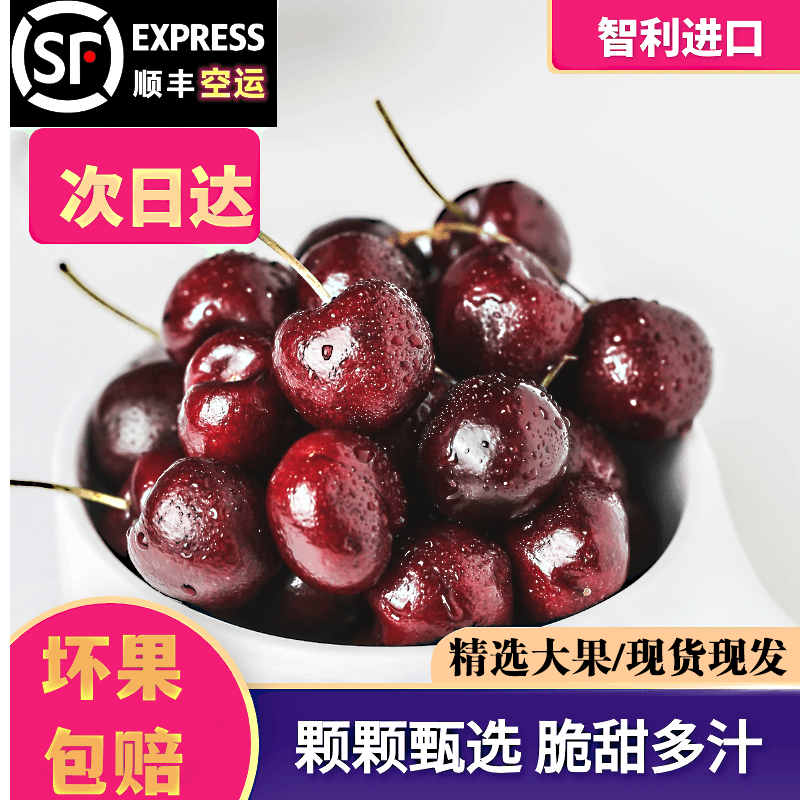 【之名地宠粉】智利进口桑提娜Santina