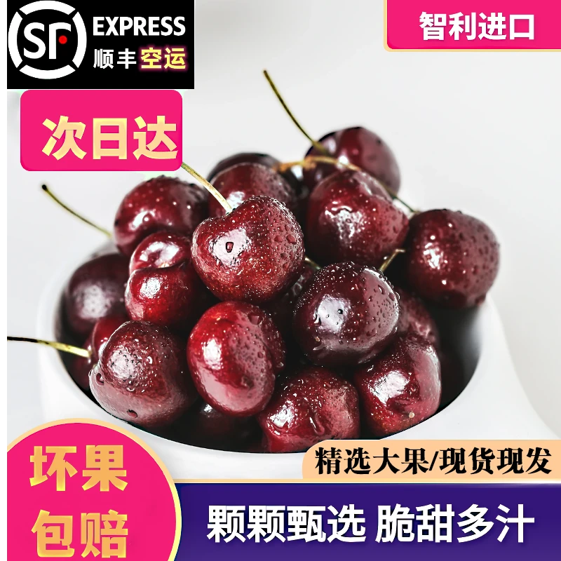 【之名地首播福利】3JD5斤原箱智利进口车厘子冰熊牌拉宾斯顺丰包邮