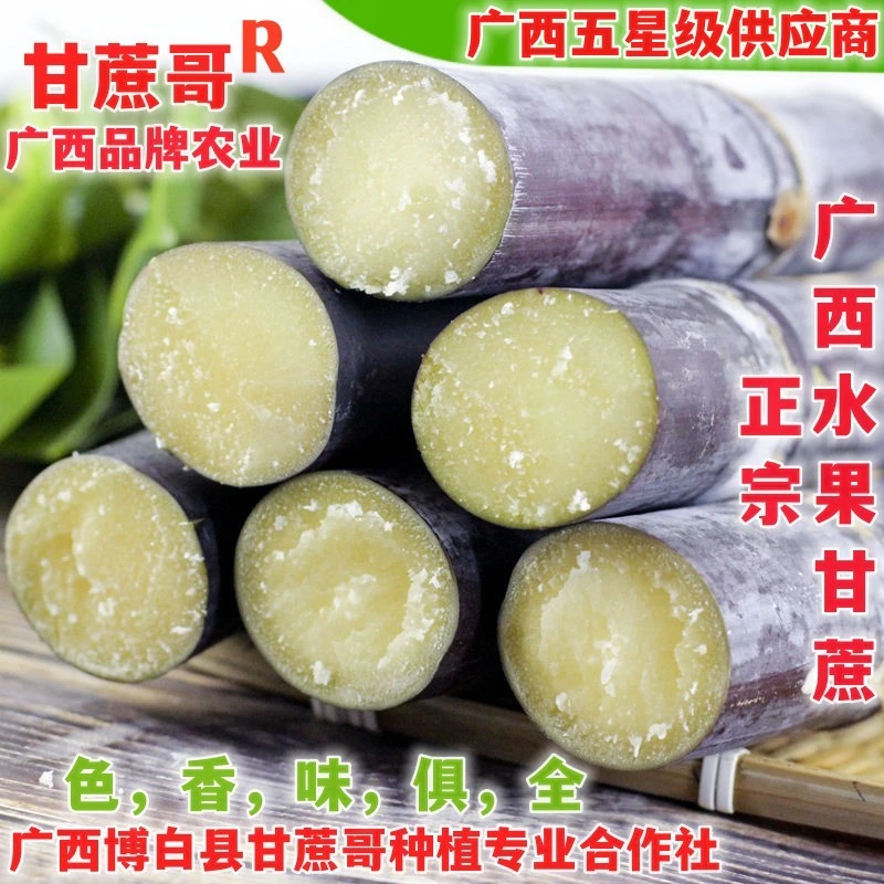 9斤甘蔗正宗广西水果甘蔗新鲜黑皮甘蔗红皮紫皮特产5斤