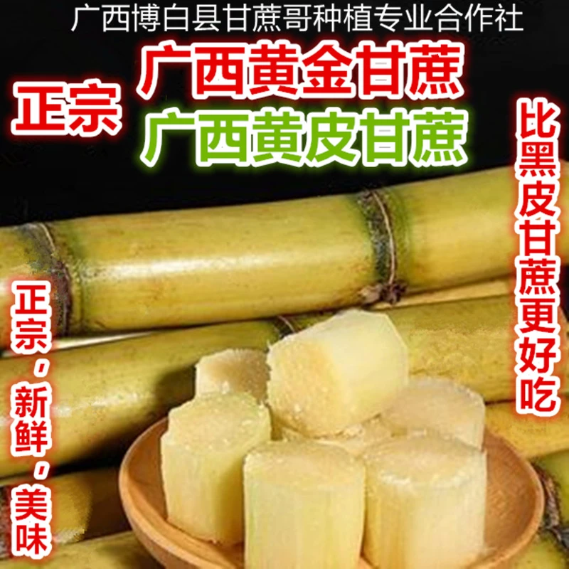 9斤水果黄金甘蔗山泉水灌溉广西黄皮甘蔗水果特产青皮绿皮5斤3斤