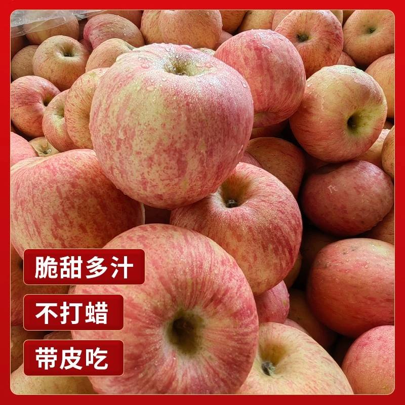 正宗烟台红富士苹果脆甜多汁4.5斤净重