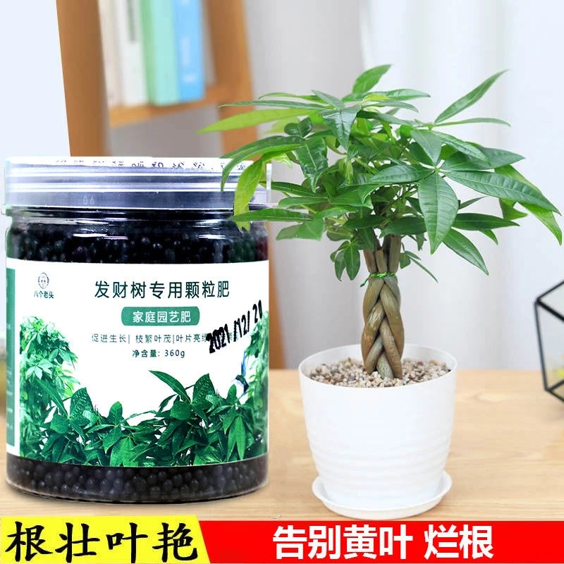 发财树肥料专用肥盆栽通用营养配方园艺植物颗粒肥料适用掉叶烂根
