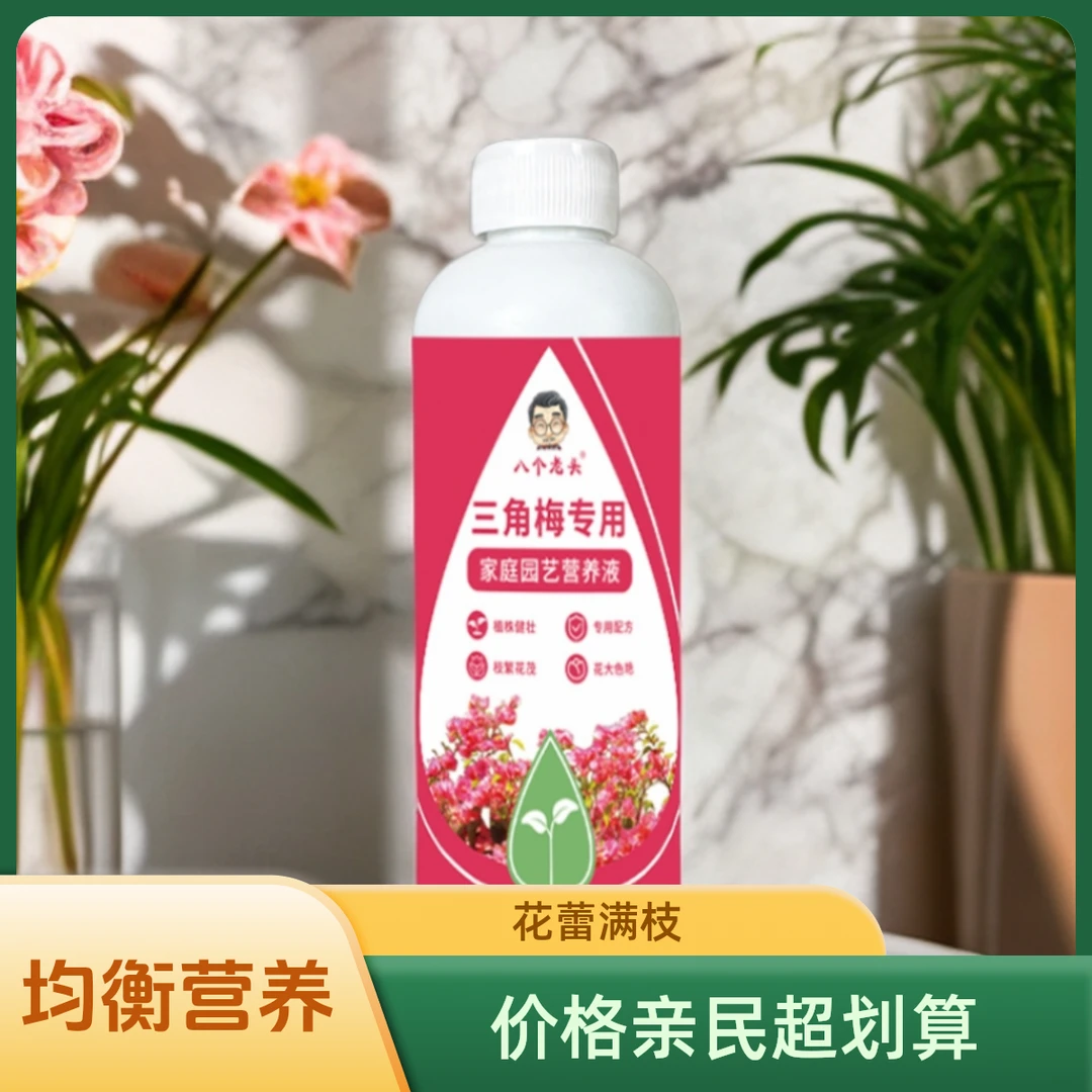 三角梅专用肥料植物浓缩营养液梅花盆栽家用花卉养花促开花通用型