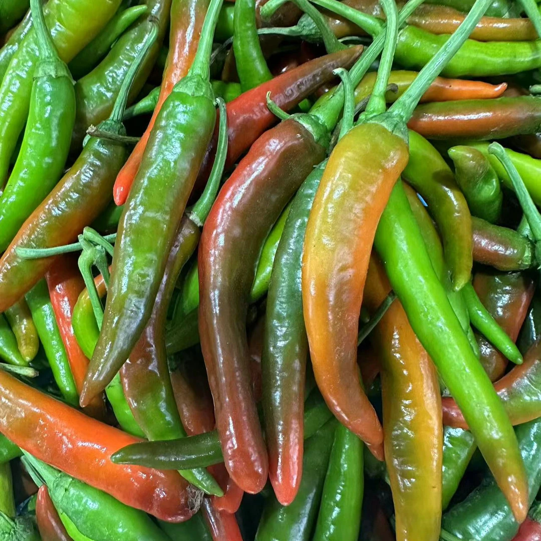 【美人椒】新鲜青红混装辣椒3斤 ±100克