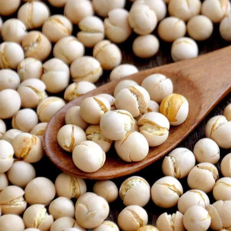 鹰嘴豆500g大罐装熟即食无添加糖油新疆特产杂粮豆浆伴侣零食