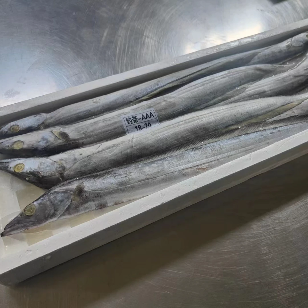 【年货节】顶级海钓小眼油带鱼AAA级礼盒装 约4.5斤