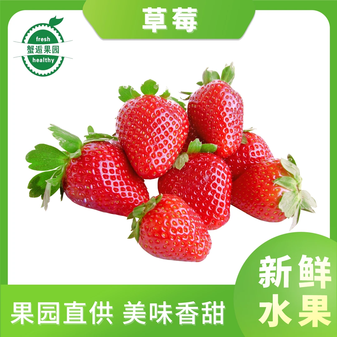 整果草莓300克