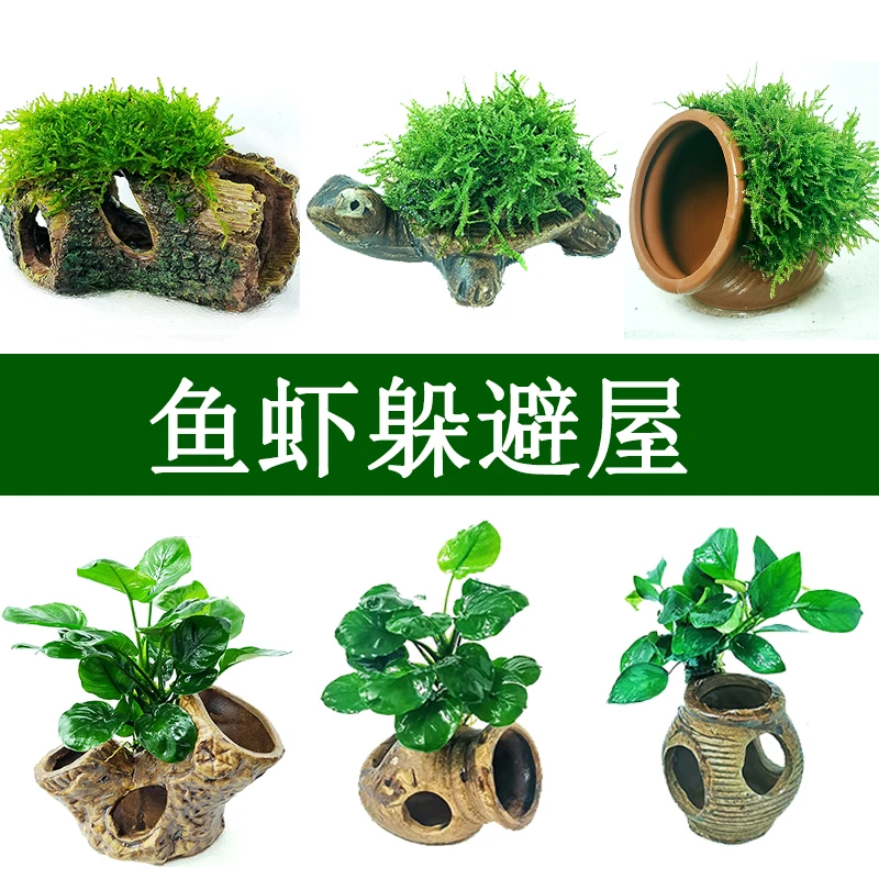 鱼缸造景水草莫斯水榕陶罐活体水族箱水下淡水懒人增氧摆件躲避屋